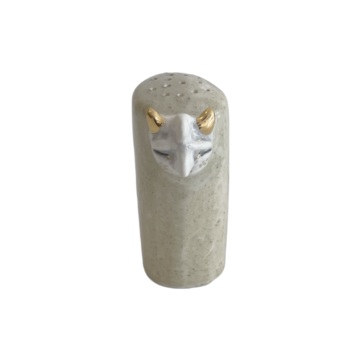 salt and pepper shaker